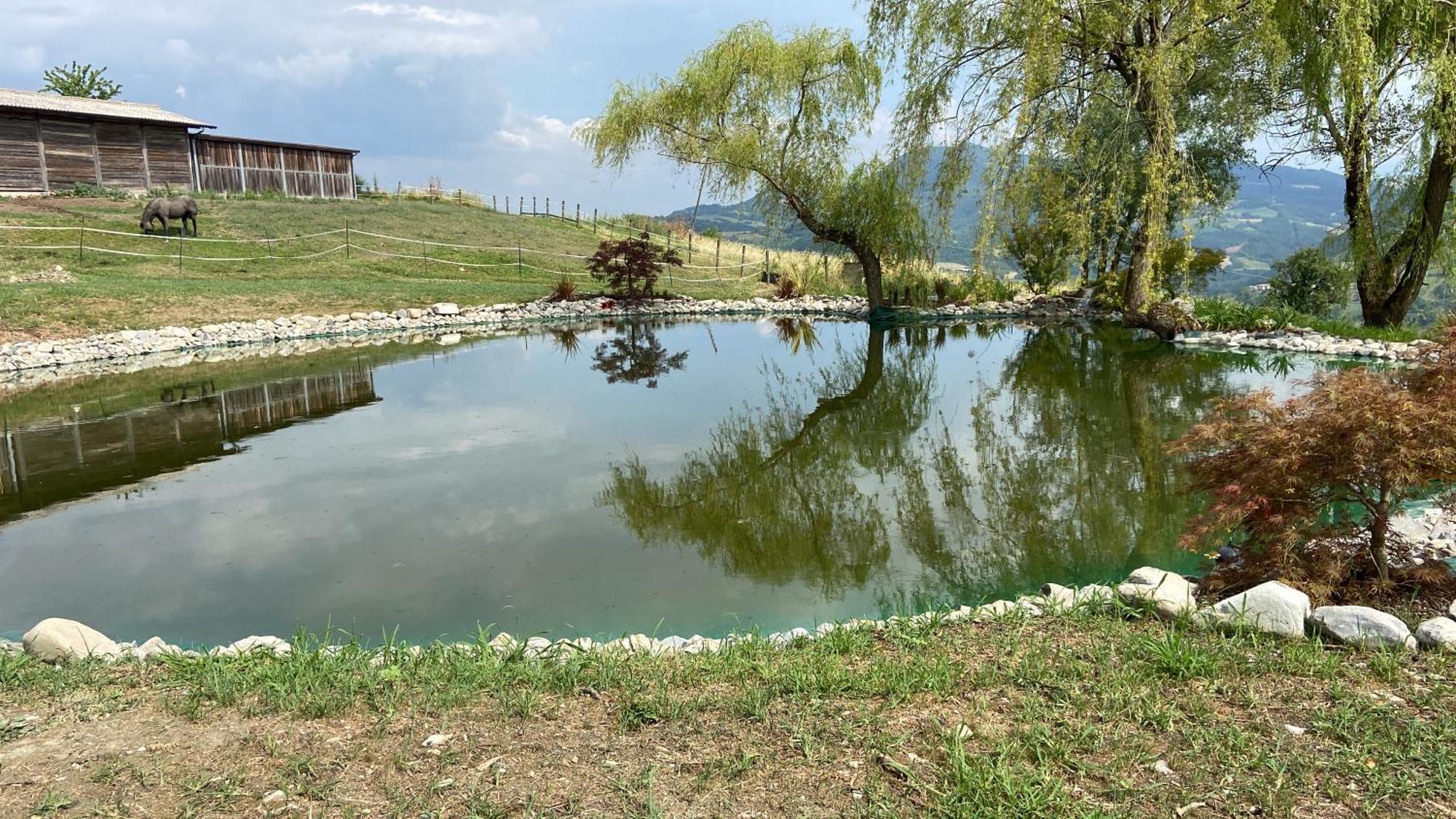 Agriturismo Cergallina Vernasca Buitenkant foto